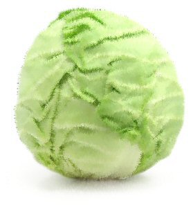 cabbage